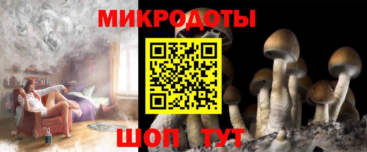 Галлюциногенные грибы MAGIC MUSHROOMS Псков